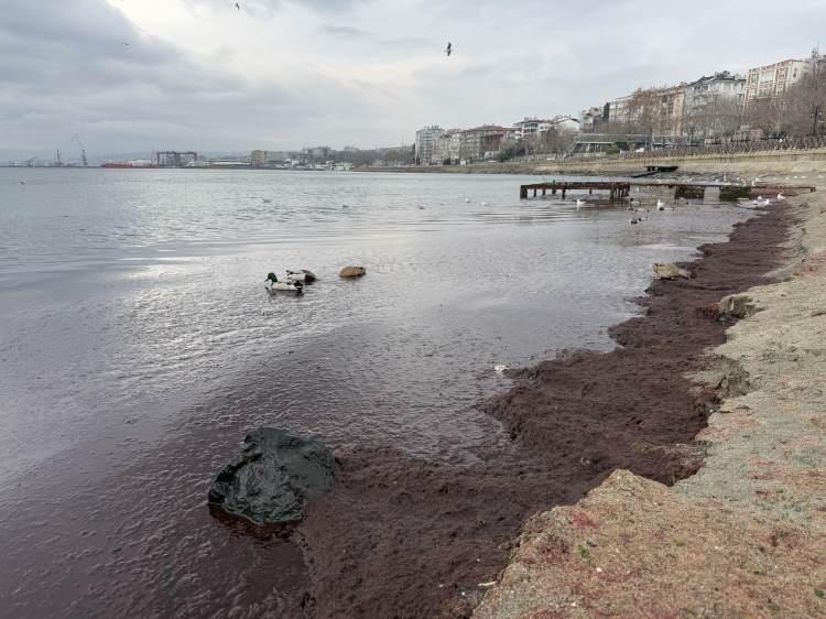 <p>Tekirdağ'da kuvvetli rüzgar nedeniyle sahilde oluşan görüntü şaşırttı. </p>
