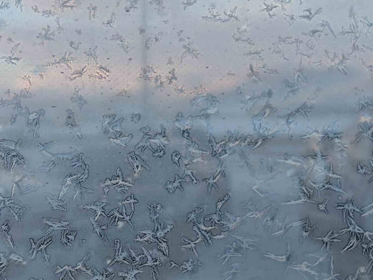 <p><strong><span style="color:#B22222">MARDİN</span></strong></p>

<p>Mardin'de beklenen kar yağışı nedeniyle kent genelindeki t&uuml;m okullarda eğitime yarın ara verildi.</p>

<p>Valilikten yapılan a&ccedil;ıklamada, meteorolojik değerlendirmeler sonucu kar yağışı ve soğuk hava koşullarının yarın il genelinde etkili olmasının beklendiği bildirildi.</p>

<p>Kent genelinde beklenen kar yağışı ve ardından oluşabilecek buzlanma riskinden dolayı vatandaşların olumsuzluk yaşamaması i&ccedil;in gerekli t&uuml;m tedbirlerin alındığı belirtilen a&ccedil;ıklamada, bu kapsamda&nbsp;Mardin&nbsp;genelindeki t&uuml;m eğitim kurumlarında eğitim &ouml;ğretime yarın ara verildiği ifade edildi.</p>

<p>A&ccedil;ıklamada, ayrıca engelli ve hamile kamu g&ouml;revlileri ile &ccedil;ocuğu anaokulu ve kreşlere devam eden kadın personelin de idari izinli sayılacağı kaydedildi.</p>

<p>Vali Tuncay Akkoyun da NSosyal hesabından &ouml;ğrencilere y&ouml;nelik yaptığı paylaşımda, "Okullarımıza g&uuml;venli ulaşımınızla ilgili oluşabilecek olumsuzlukları engellemek i&ccedil;in 29 Aralık Pazartesi g&uuml;n&uuml; 1 g&uuml;n s&uuml;re ile eğitim ve &ouml;ğretime ara verdik. Ekran başında az vakit ge&ccedil;irerek, g&uuml;zel oyunlar oynayarak değerlendirin. Sizleri &ccedil;ok seviyoruz." ifadelerini kullandı.</p>
