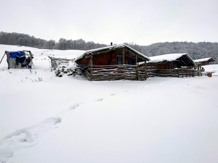 <p><span style="color:#B22222"><strong>ERZURUM, TUNCELİ, KARS VE AĞRI'DA 289 YERLEŞİM YERİNE ULAŞIM YOK</strong></span></p>

<p>&nbsp;</p>

<p>Erzurum, Tunceli, Kars ve Ağrı'da olumsuz hava koşulları nedeniyle 289 yerleşim yerinin yolu ulaşıma kapandı.</p>

<p>Erzurum'da kar ve tipi nedeniyle 131 kırsal mahalleye ulaşım sağlanamıyor.</p>

<p>B&uuml;y&uuml;kşehir Belediyesi ekipleri, 400 ara&ccedil;, 1200 personelle kapalı yolların a&ccedil;ılması i&ccedil;in &ccedil;alışma y&uuml;r&uuml;t&uuml;yor.</p>

<p>Olumsuz hava koşulları nedeniyle Tunceli'de 135, Ağrı'da 21, Kars'ta ise 2 k&ouml;y yolu ulaşıma kapalı bulunuyor.</p>

<p>İl &Ouml;zel İdaresi ekipleri kapalı k&ouml;y yollarında &ccedil;alışma yapıyor.</p>
