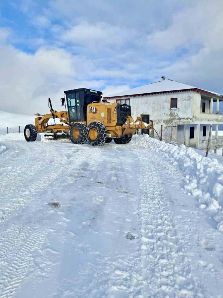 <p><span style="color:#B22222"><strong>GİRESUN</strong></span></p>

<p>Giresun'un &Ccedil;amoluk il&ccedil;esinde kar yağışı nedeniyle eğitime 1 g&uuml;n ara verildi.</p>

<p>&Ccedil;amoluk Kaymakamlığınca ABD merkezli Meta şirketine ait sosyal medya platformu Facebook hesabı &uuml;zerinden yapılan a&ccedil;ıklamada, il&ccedil;ede kar yağışı ve buzlanma riskinin devam ettiği belirtildi.</p>

<p>A&ccedil;ıklamada, t&uuml;m eğitim kademelerinde eğitim &ouml;ğretime bug&uuml;n ara verildiği kaydedildi.</p>

<p>&nbsp;</p>
