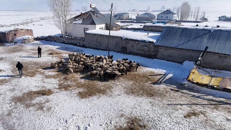 <p>Soğuk havaya bağlı sis altındaki 22 haneli mahallede, hayvanların soğuktan etkilenmemesi için zaman zaman ahırları sobayla ısıtan vatandaşlar, araçların üzerini brandalarla ve battaniyelerle örtüyor. </p>
