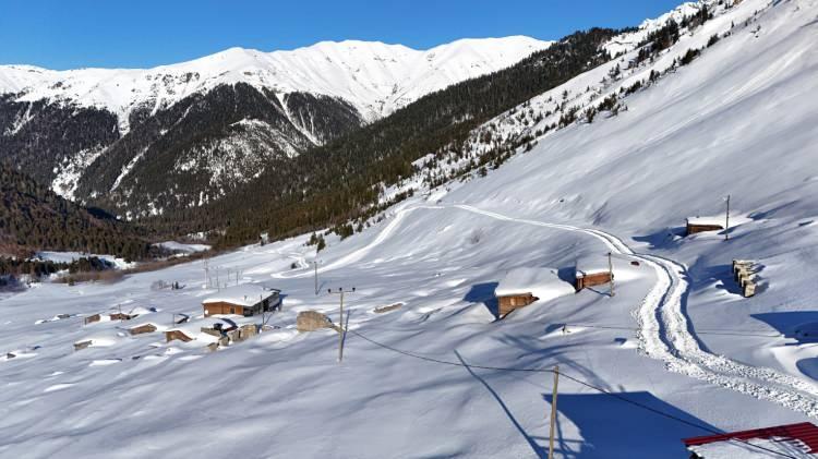 <p>Artvin</p>
<p>Rize</p>
<p>Trabzon</p>