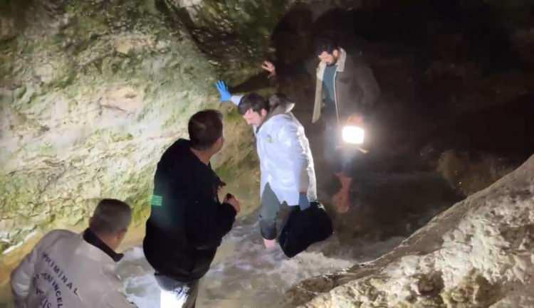 <p>“Ellerinde 3 çanta olduğunu değerlendiriyoruz. Bu 3 silahın 2’si emniyet kuvvetlerimiz tarafından şu anda elde. Şu anda kaçtıkları yöne doğru hem emniyet müdürlüğümüz tarafından bütün kuvvetimizle birlikte hem jandarmamız tarafından kaçabilecekleri bütün güzergahlarda köy yoları dahil ve ana yollarda kapama işlemini yaparak açıkçası alanı daraltıyoruz. Özel harekat polislerimiz de geliyorlar. Bulunan coğrafya kanyon bölgesi, biraz mağaraların ve yeşil vadilerin suyun olduğu bir bölge. Orada özel harekatımız da gerekli arama ve taramaları yapacaklar. İnşallah kısa süre içerisinde bunu yapan şahısları yakalayıp adalete teslim edeceğiz. Ben tekrar çok geçmiş diyorum. Safranbolu halkımıza ve esnafımıza bu duyarlılıklarından dolayı sizlerin aracılığıyla teşekkür ediyorum” </p>