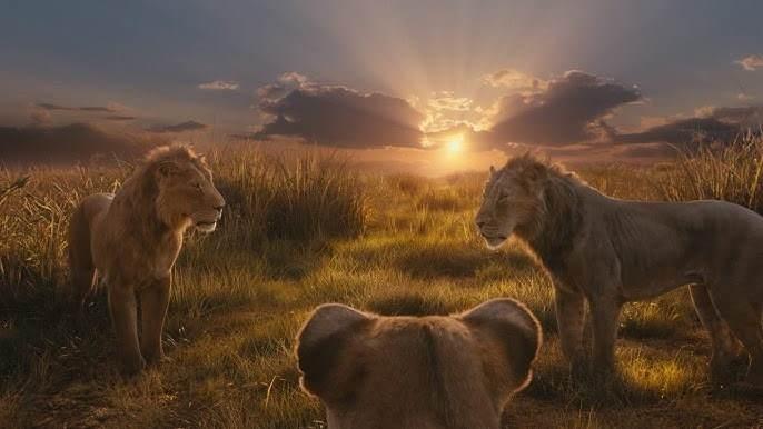 <p><strong>ÖZET</strong></p>
<p> </p>
<p>Geçmişe dönüşlerle anlatılan hikaye, Mufasa'yı kaybolmuş ve yalnız bir yetim yavru olarak tanıtıyor, ta ki kraliyet soyunun varisi Taka adında sempatik bir aslanla tanışana kadar. Şans eseri buluşma, kaderlerini arayan olağanüstü bir grup uyumsuzun yola koyulmasına neden oluyor.</p>