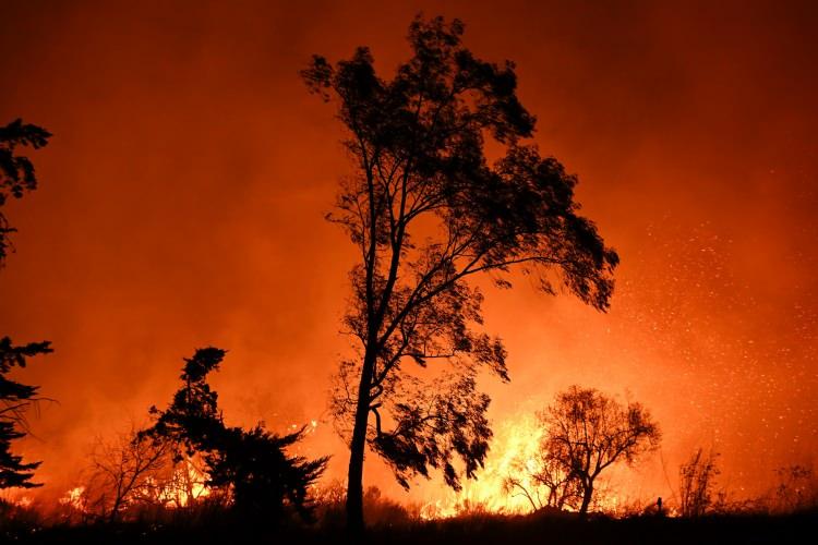 <p>Los Angeles ve çevresine hızla yayılan yangınlarda 25 kişi hayatını kaybetti, 37 bin dönümden fazla alan kül oldu. Los Angeles yangınları müdahalede yetersizlik ve sosyal adaletsizlikle anılacak</p>
