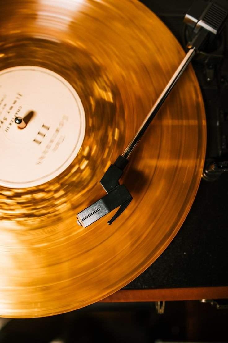 <p><span style="color:#000000"><strong>Son dönemlerde koleksiyonların vazgeçilmez parçalarından biri haline gelen eski vinil plaklar, geçmişin nostaljik sesini yeniden duymak isteyen müzik tutkunları tarafından yoğun ilgi görüyor. Vinil formatında albüm koleksiyonlarını zenginleştirmek isteyen birçok kişi, bu eşsiz parçalara adeta servet ödüyor. </strong></span></p>