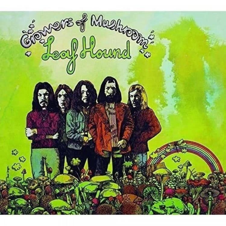 <p><strong>10. LEAF HOUND - GROWERS OF MUSHROOM</strong></p>
<p><strong>Müzik severler için nadide parçalardan biri olan "Growers Of Mushroom", 4.100 Euroya kadar alıcı bulabiliyor.</strong></p>