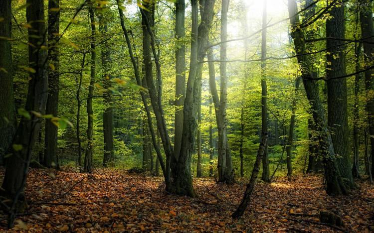 <p>-Baraj ve gölet gibi depolama tesisleri bakımından dünyada ilk 10 ülkeden biri.</p>
<p>-Hidroelektrik kurulu güç bakımından dünyada 9. sırada,</p>
<p>-İnşa edilen içme suyu ishale hatları toplam 6 bin 300 kilometre uzunluğa ulaştı.</p>