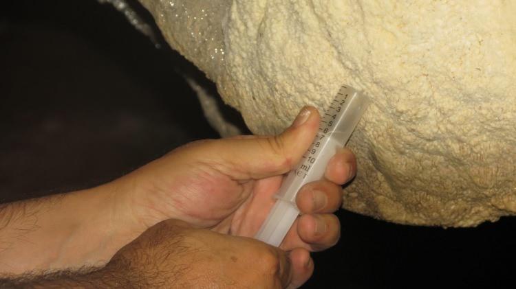 <p>Bafra ilçesi Esençay ve Başaran mahalleleri arasındaki Hayat Kayası Mağarası'nda <em><strong>'Ay sütü'</strong></em> bakterisi bulundu. OMÜ İnsan ve Toplum Bilimleri Fakültesi Coğrafya Bölümü Öğretim Üyesi Doç. Dr. Faruk Aylar, <em><strong>"Bu mağaradan aldığımız numuneleri mikrobiyolog arkadaşlarımız analizlerini yapıyorlar. Türkiye'de ilk defa 'Ay sütü' bakterisi bulundu. </strong></em></p>