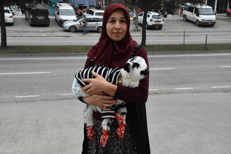 <p>İki çocuk annesi Yasemin Koç, biberonla beslediği kuzuyu sokağa çıkartacağı zaman kazak ve çorap giydiriyor.</p>
<p> </p>