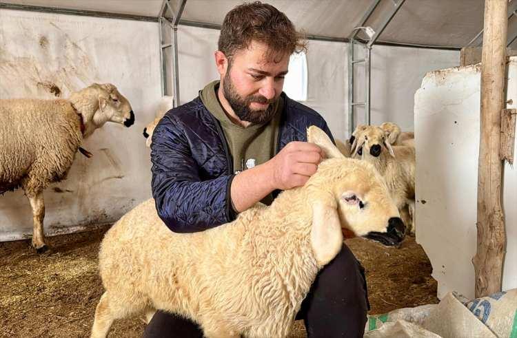 <p>Kırşehir Ahi Evran Üniversitesi Çiçekdağı Meslek Yüksekokulu Laborant ve Veteriner Sağlık Programı'nı tamamlayan <strong>Emre Gültekin (23)</strong> hayvancılık hayali için kolları sıvadı.</p>
