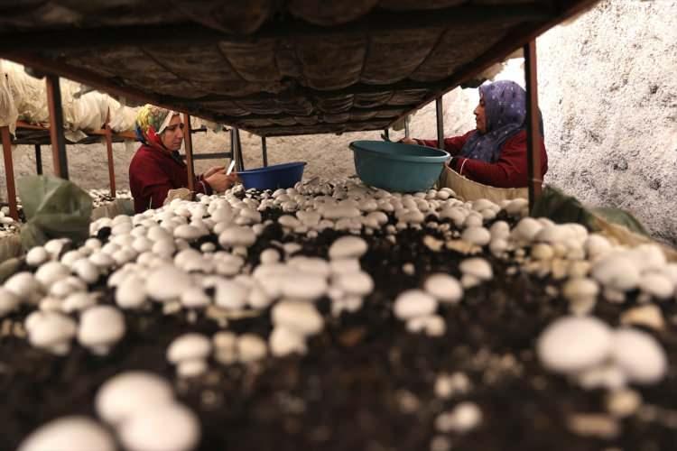 <p>Selvi, <strong>"Beldemizdeki kadınlara gelir sağlanması, ileride erkeklere de belki istihdam sağlamak amacıyla kooperatifi kurduk. Tatlarin, Kapadokya turizminden yeterli pay alamıyor. Bu çalışmalarla beldemizi daha iyi tanıtarak yerli ve yabancı misafirleri ağırlamak istiyoruz. Hedeflerimize ulaşacağımıza inanıyorum."</strong> ifadelerini kullandı.</p>
