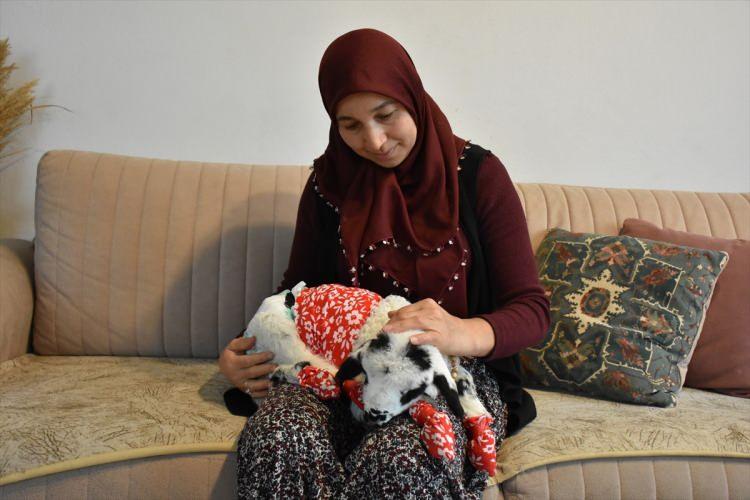 <p>Halasını ziyareti sırasında koyunun ikiz doğurduğunu öğrendiğini anlatan Koç, "Bunu emzirmiyordu, diğerini emziriyordu. 'Ben o zaman bunu 10-15 gün bakayım, kendine gelsin' dedim. Hoşuma gitti, aldım. Eşime söyledim, o da 'Bakabilirsen al' dedi. 10 günden beri evimizde, bize bir eğlence oldu." diye konuştu.</p>
<p> </p>