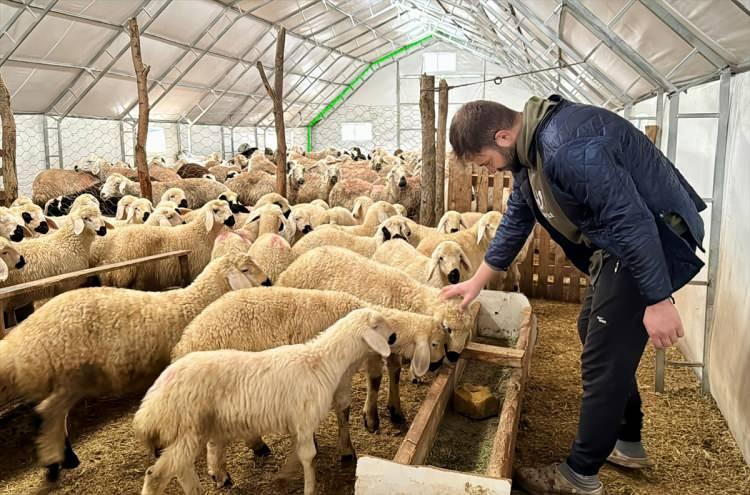 <p>Gültekin, hayvanları aldıktan sonra KOP'un<strong> "Portatif Çadır Ağıl"</strong> projesinden de faydalandığını ifade etti.</p>
