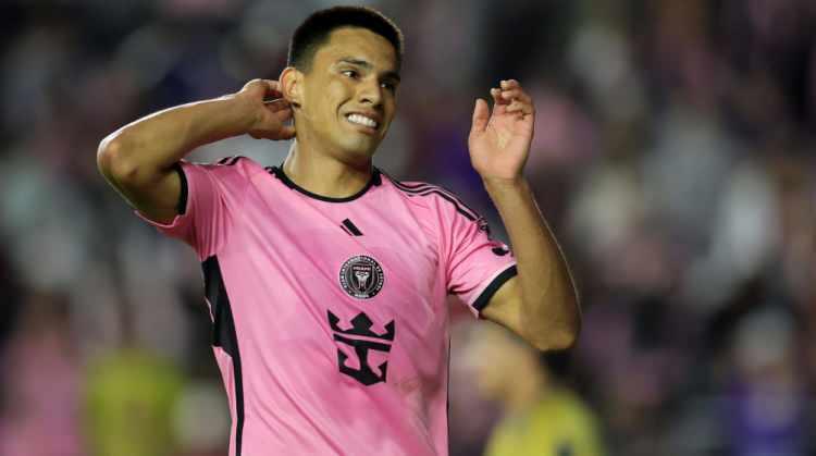 <p>Diego Gomez ➡ Brighton</p>