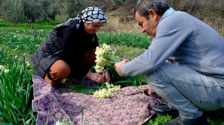 <p>Yetkililerden destek beklediklerini anlatan Ali Avcı ise, <strong>"Eşim böyle küçük bir hobi olsun diye nergis yetiştiriciliğine başladı. Bende yardımcı olmaya çalışıyorum. Herkese tavsiye ederim. Yetkililerden de desteklerini bekliyoruz." </strong>diye konuştu.</p>
