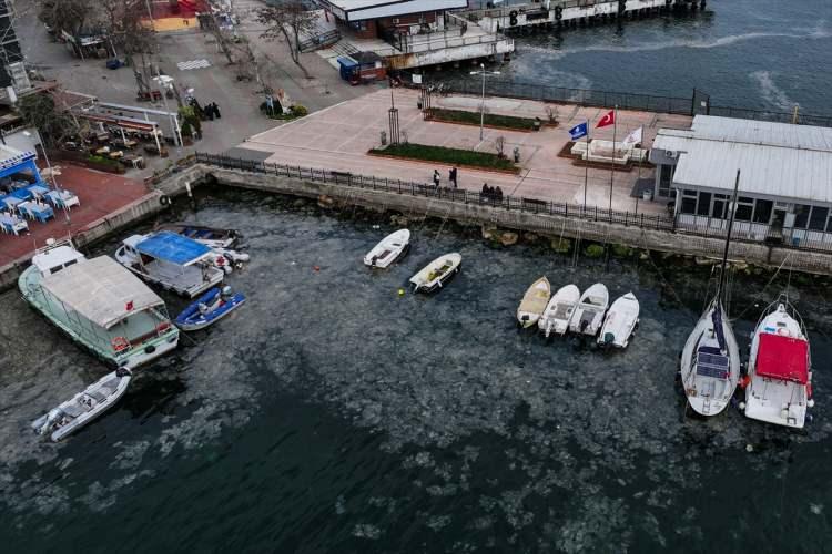 <p>Gazioğlu, "Sonuçta müsilaj hadisesi yaşanıyor, dipte çok yoğun olarak yaşanıyor ama görseli yüzeye verince zaten herkes alarma geçiyor. Oysa yaklaşık 2-3 aydır özellikle Marmara'nın güneyinde, dipte çok yoğun müsilaj olduğunu biliyoruz. Bir önceki (2007-2009 arasındaki) hadiseden 2021'e kadar geçen süreden daha kısa bir zamanda yeni bir müsilaj hadisesi ile karşılaştık. Demek ki arabanın frenine bastık ama araba hala gidiyor yani frene daha sert basmamız gereken hususlar var sistemde." diye konuştu.</p>
<p> </p>