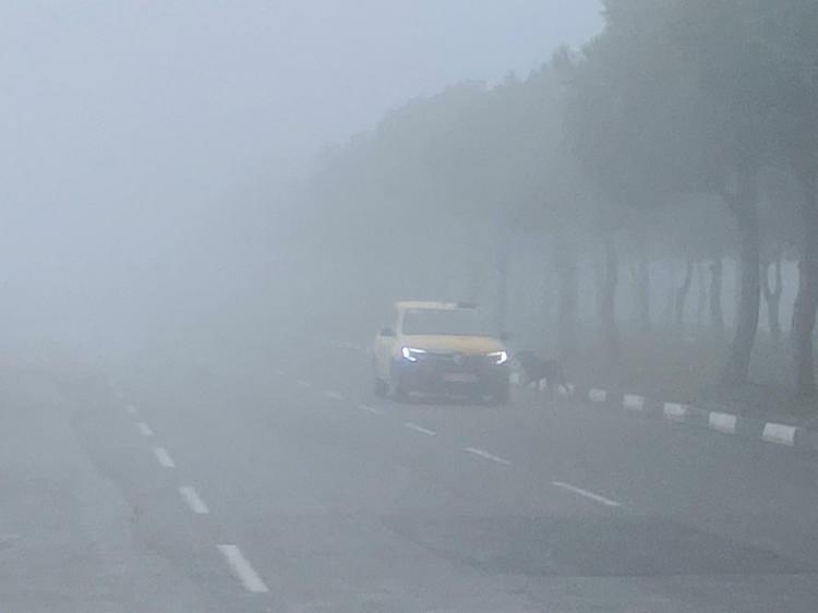 <p><span style="color:#B22222"><strong>BUZLANMA VE DON OLAYI İLE &Ccedil;IĞ TEHLİKESİ UYARISI</strong></span></p>
