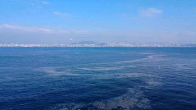 <p>Çağlayan, bu nedenle balık yemeye çekindiğini anlattı.</p>
<p>Kafe işletmecisi Yaşar Aydoğan da <strong>"Balıkçı arkadaşlar müsilajın ağlara takıldığını anlatıyorlardı. Ben Heybeliadalıyım. Adanın iskelesi de olduğu gibi müsilaj. Üç sene önce vardı, bitti derken yeniden başladı. Müsilaj pislikten, kirlilikten başladı. Bu iyi bir şey değil. Çünkü balıklar ve canlılar ölüyor. Denize de giremezsiniz."</strong> ifadelerini kullandı.</p>