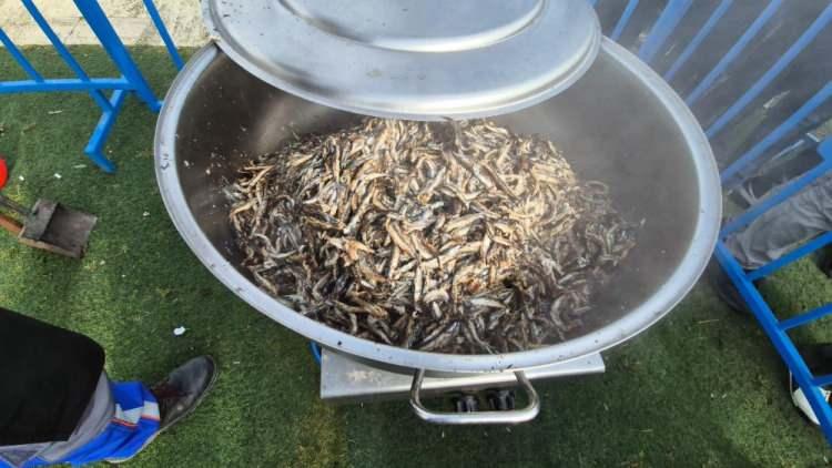 <p>Festivalde, dün de 1 ton mıhlama ikram edilmişti. Karadeniz müzikleri eşliğinde horon oynayan vatandaşlar, hem eğlendi hem de balık ziyafetinin tadını çıkardı.</p>
