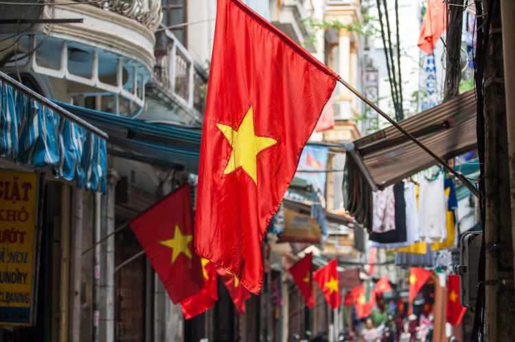 <p><span style="color:#B22222"><strong>6)  VIETNAM</strong></span></p>
