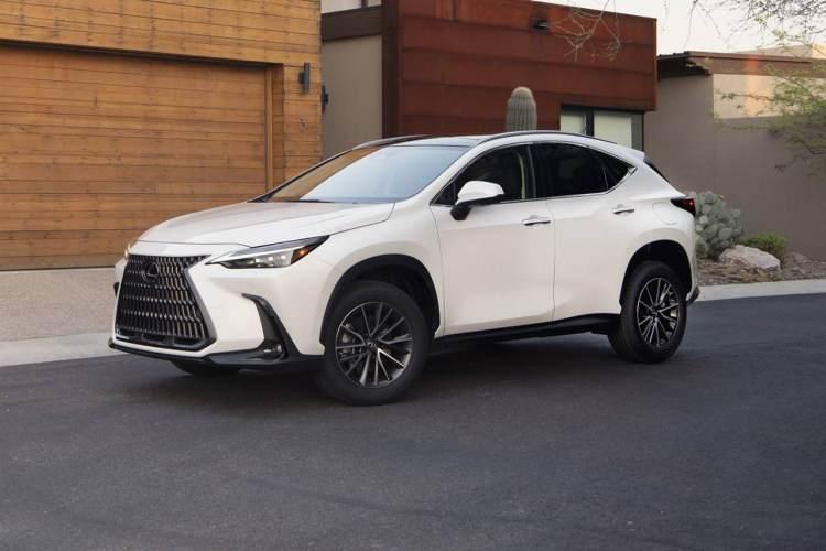 <p>MY Lexus NX 2025 </p>