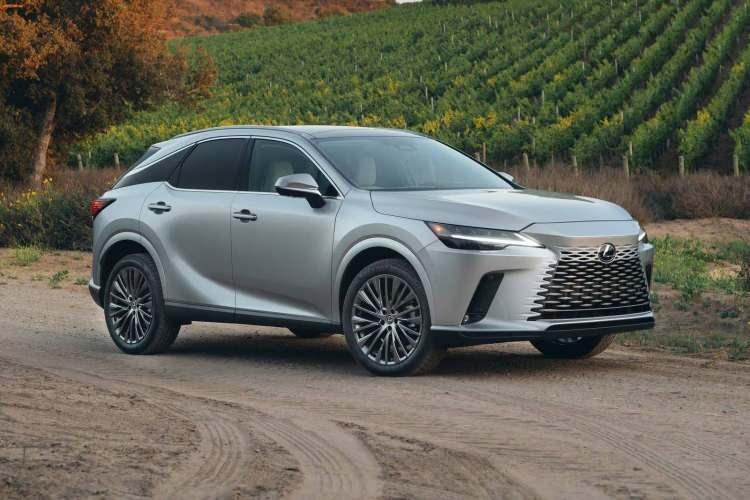 <p>MY Lexus RX 2024</p>