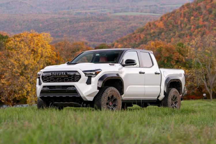 <p>2025 MY Toyota Tacoma</p>
