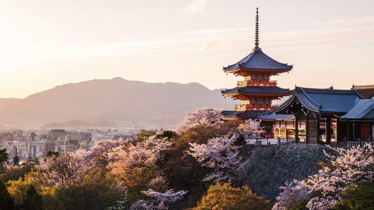 <p><span style="color:#B22222"><strong>3)&nbsp; JAPONYA</strong></span></p>
