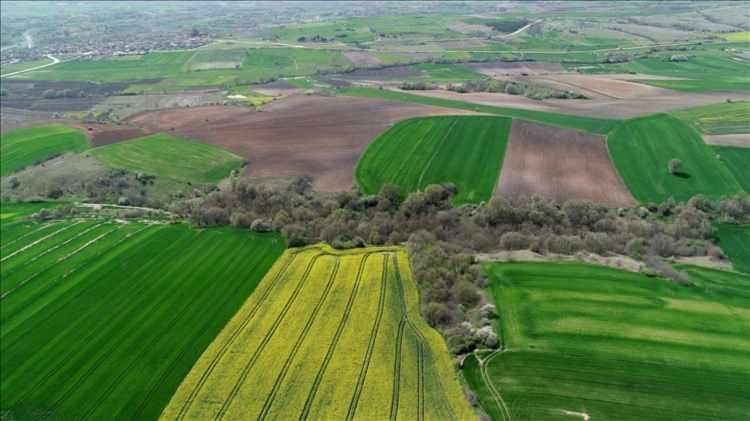 <p>İnsanlar bir dönem konut alamadığı için daha uygun fiyatlı olan arsa ve tarlalara yönelmişti. Burada amaç küçük yatırımlarla bir tapu sahibi olabilmek ve zamanı gelince elindeki arsayı satıp konut alabilmekti. Ancak arsa sahipleri gelen talep ile doğru orantılı olarak fiyatları uçurunca, alıcılar da “Arsa yerine 1+1 konut alırım, hem de kira getirisi sağlarım” mantığıyla duruma yaklaşmaya başladı. Doğal olarak arsa ya da tarla yerine konuta yönelim yaşandı.</p>
