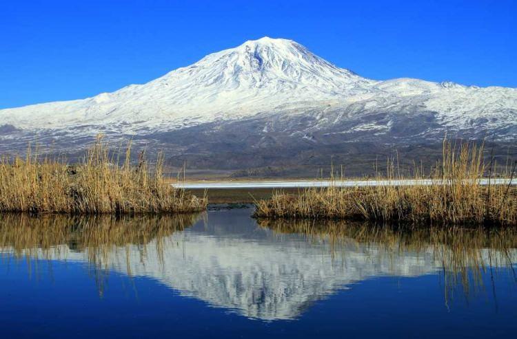 <p>8. Türkiye’nin en büyük milli parkı:</p>
<p>AĞRI DAĞI MİLLİ PARKI</p>
<p> </p>