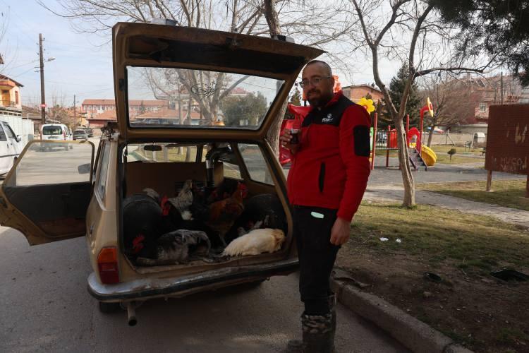 <p> Kasalak, gezgin tavukların otomobilde yumurtladığı yumurtalardan memnuniyet oluşunca, tavukları gezdirmeye başladı.  </p>
