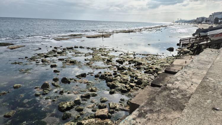 <p>Tekirdağ Namık Kemal Üniversitesi Fen-Edebiyat Fakültesi Coğrafya Bölümü Öğretim Üyesi Prof. Dr. Emre Özşahin, deniz çekilmesinin meteorolojik bir durumdan kaynaklandığını ve olağanüstü bir durum olmadığını belirtti. </p>
