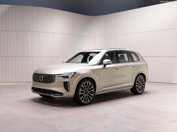 <p>Emiroğlu, "Volvo Car Türkiye olarak, 2024'te premium segmentte Plug-in Hybrid satışlarında liderliğimizi başarıyla sürdürdük. XC90 ise üst üste altı yıldır kendi segmentindeki liderliğini koruyarak bu başarıyı taçlandırdı." ifadelerini kullandı.</p>
