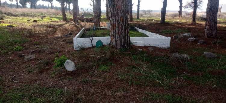 <p class="MsoNormal">Balıkesir’in Gömeç ilçesinde CHP’li belediye tepki çeken bir karara imza attı. <o:p></o:p></p>
<p class="MsoNormal"> </p>
<p class="MsoNormal">Balıkesir İli Gömeç İlçesi Yaya Mahallesinde bulunan “Yaya Mahallesi Mezarlığı” Gömeç Belediyesi tarafından 04 Haziran 2024 tarihinde alınan karar ile Gömeç Otogarı yapılması kararı alındı.<o:p></o:p></p>
<p> </p>