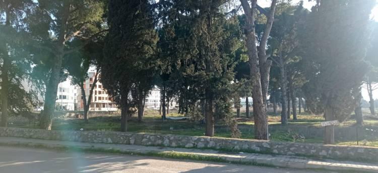 <p><strong>MECLİSTEN GEÇTİ</strong></p>
<p>Osmanlı mezarlığının otogara dönüştürülmesi teklifi Gömeç Belediye Meclisi'nden 3 MHP meclis üyesi ve 1 İYİ Parti meclis üyesinin red oyu kullanmasına karşılık 8 CHP meclis üyesinin kabul oy kullanmasıyla meclisten geçti.</p>