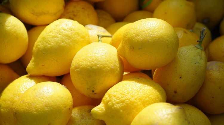 <p><em><strong>Peki, limonu muzla birlikte tüketmenin faydalarını biliyor musunuz?</strong></em></p>