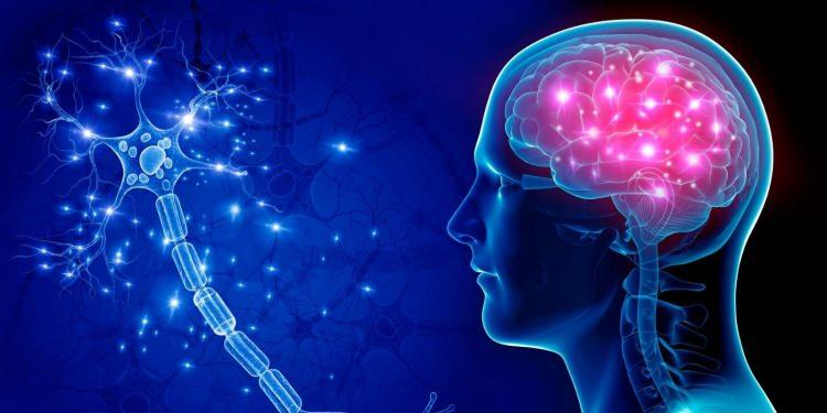 <p><strong>Sinir sistemi ve duyu organları hastalıkları</strong> 17615 Kişi</p>
<p><strong>Menenjit</strong> 143 Kişi</p>
<p><strong>Alzheimer hastalığı </strong>11640 Kişi</p>
<p><strong>Multipl skleroz</strong> 103 Kişi</p>
<p><strong>Epilepsi</strong> 1400 Kişi</p>
<p><strong>Dolaşım sistemi hastalıkları</strong> 175509 Kişi</p>
<p><strong>Kas-iskelet sistemi ve bağ dokusunun hastalıkları</strong> 968 Kişi</p>
<p><strong>Romatoid artrit ve osteoartroz</strong> 168 Kişi</p>