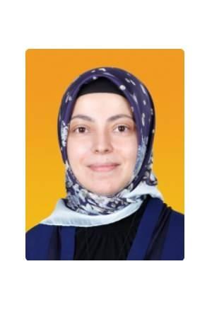 <p>Fadime Zehra Şener</p>

<p>1980 Tokat doğumlu olan Şener, ortaöğrenimini Ankara Atatürk Anadolu Lisesi ve Vefa Lisesinde tamamladı. Lise öğrenimi sırasında Habitat Uluslararası Konferans'ında resmi delegasyon rehberliği yaptı. İstanbul Üniversitesi Bilgisayar Bilimleri Mühendisliği'nden mezun oldu ve Marmara Üniversitesi İşletme-Yönetim Organizasyon Yüksek Lisans eğitimine başladı. 1999-2007 yılları arasında İGDAS'ta mühendis, uzman ve proje yöneticisi olarak çalıştı. 2007-2012 yılları arasında RSM Kapital S.M.M. A.Ş'de IT danışmanlığı yaptı. 2012 yılından bu yana THY Genel Müdürlüğü, Gelir Yönetimi Başkanlığı'nda çalışmaktadır. THY çalışanları gönüllü organizasyonu olan "Widen Your Heart" in kurucuları arasında yer alan Şener, gönüllü çalışmalarını sürdürmektedir.</p>
