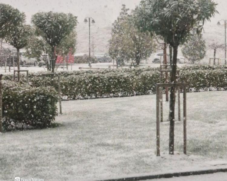 <p><span style="color:#800080"><strong>Başakşehir / İstanbul</strong></span></p>
