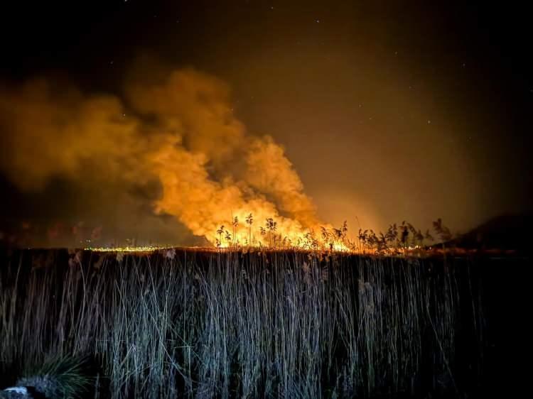 <p>Burdur'un Gölhisar ilçesinde bulunan Yamadı Gölü’nde sazlık yangını çıktı. Bir hafta içinde ikinci kez çıktığı öğrenilen yangın, ekipler tarafından 5 saatte kontrol altına alındı. </p>
