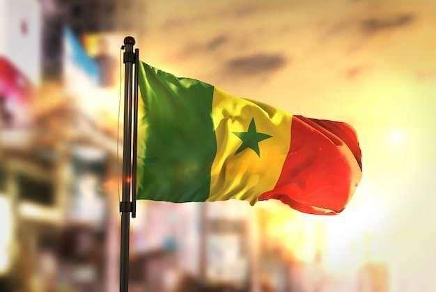 <p><strong><span style="color:#B22222">19)  SENEGAL  </span>|  1,06 MİLYAR DOLAR</strong></p>
