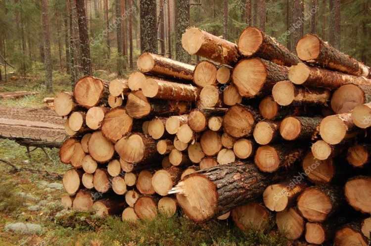<p><strong>KERESTE</strong></p>