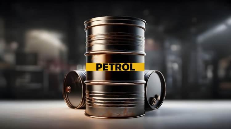 <p><strong>PETROL</strong></p>