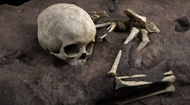 <p>Bu süreç genellikle 20 ila 25 yaşına kadar devam eder ve sonunda insan iskeleti doğumda sahip olduğu kemik sayısının neredeyse üçte birini kaybetmiş gibi görünse de, gerçekte bu kemikler kaybolmaz, sadece birleşerek daha büyük ve sağlam yapılar oluşturur.</p>
