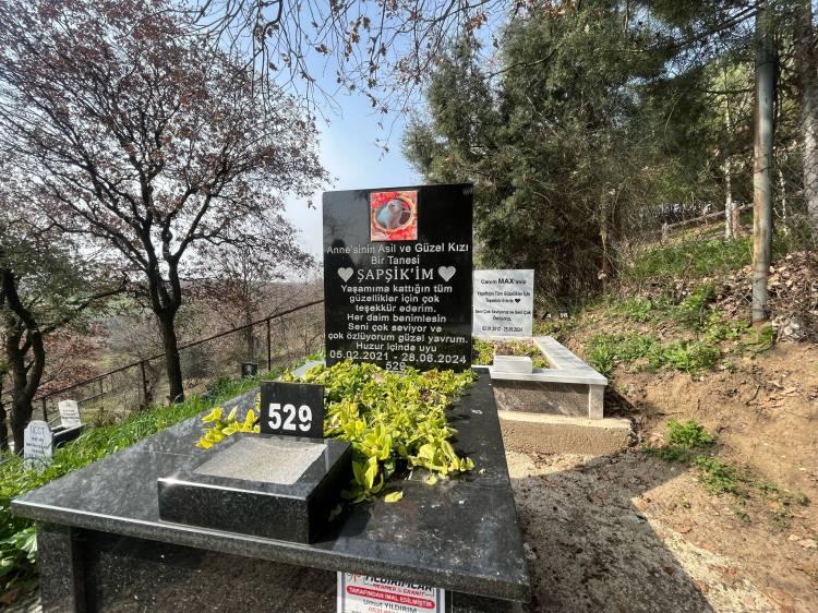 <p><span style="color:#B22222"><strong>2 BİN 500 LİRAYI BULUYOR</strong></span></p>
<p>Özellikle bayramlarda, ölen evcil hayvanlarını ziyaret eden hayvan sahipleri, mezarlıkları temizlerken, hayvan mezarlığındaki defin ücreti ise yapılan işlemlerle birlikte 2 bin 500 lirayı buluyor. Mezar taşları olmayan hayvanların ise toprağa dikilen rakamlarla yerleri belirleniyor.</p>