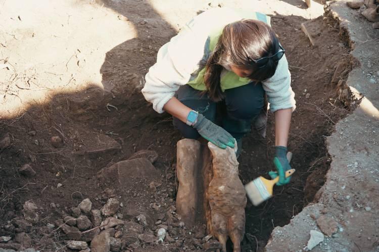 <p>Kültür ve Turizm Bakanlığı’nca 'Geleceğe Miras Projesi' kapsamında Aspendos Antik Kenti'nde yürütülen kazı çalışmaları sırasında mermer Hermes heykeli bulundu.</p>

<p> </p>
