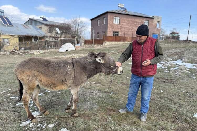 <p>İkinci, 21 yıldır şefkatle baktığı eşeğe bugüne kadar bir kez olsun semer vurmadığını, onu herhangi bir işte çalıştırmadığını belirtti.</p>