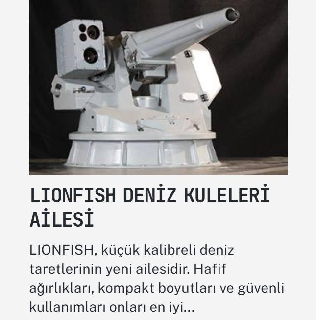 <p><span style="color:#B22222"><strong>DENİZ KULELERİ</strong></span></p>
