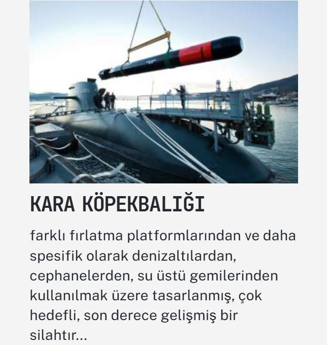 <p><span style="color:#B22222"><strong>KARA KÖPEKBALIĞI</strong></span></p>
